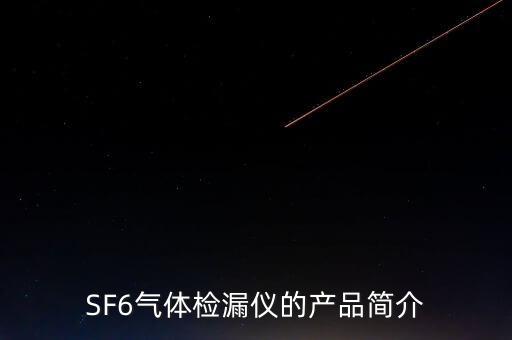 SF6氣體檢漏儀的產(chǎn)品簡介