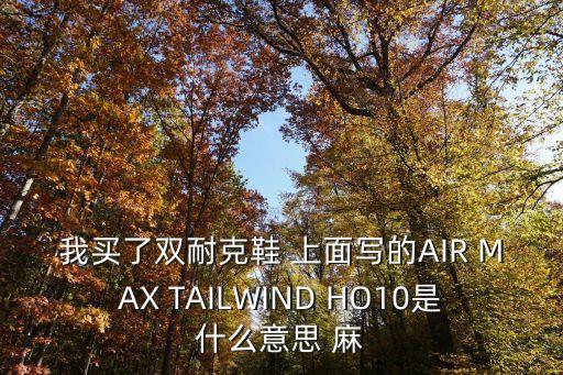 我買了雙耐克鞋 上面寫的AIR MAX TAILWIND HO10是什么意思 麻