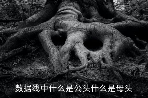 數(shù)據(jù)線中什么是公頭什么是母頭