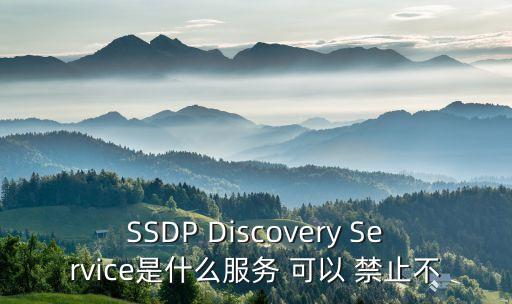 ssdp協(xié)議，什么是TCPIP協(xié)議