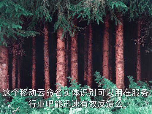 這個(gè)移動(dòng)云命名實(shí)體識(shí)別可以用在服務(wù)行業(yè)吧能迅速有效反饋么