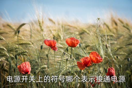 電源開關上的符號哪個表示接通電源