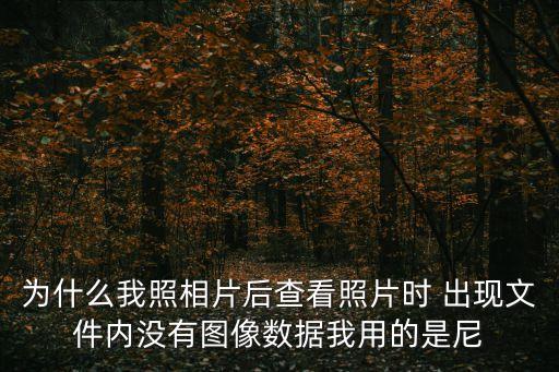 為什么我照相片后查看照片時(shí) 出現(xiàn)文件內(nèi)沒有圖像數(shù)據(jù)我用的是尼