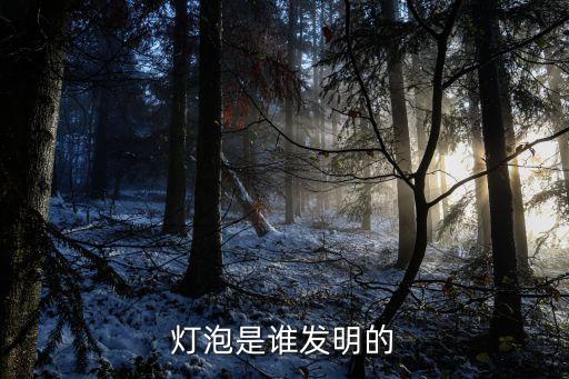 燈泡是誰發(fā)明的