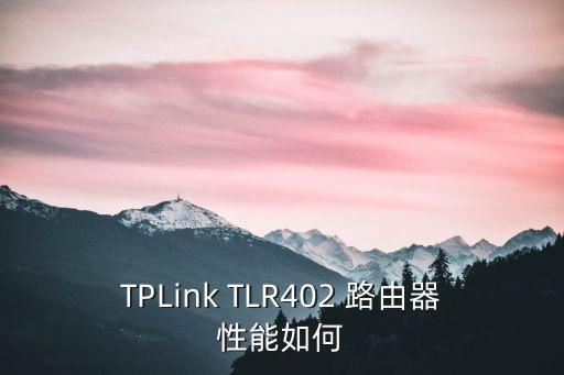 TPLink TLR402 路由器性能如何