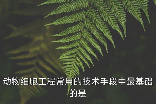 動物細胞工程常用的技術手段中最基礎的是