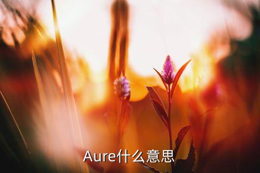 Aure什么意思