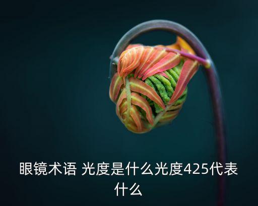 眼鏡術(shù)語(yǔ) 光度是什么光度425代表什么