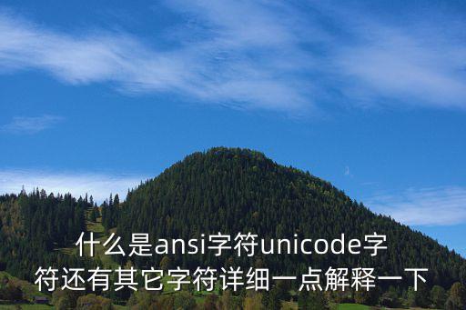 什么是ansi字符unicode字符還有其它字符詳細(xì)一點(diǎn)解釋一下