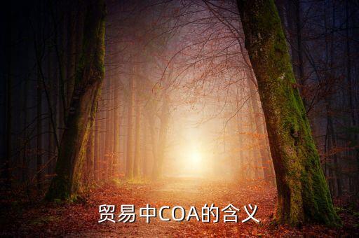 coa報告，外貿(mào)COA是什么原料COA報告化妝品COA報告