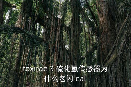 硫化氫傳感器，硫化氫檢測儀的種類都有哪些