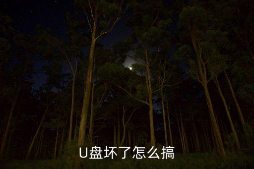 U盤壞了怎么搞