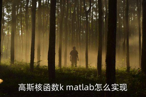 高斯核函數(shù)k matlab怎么實現(xiàn)