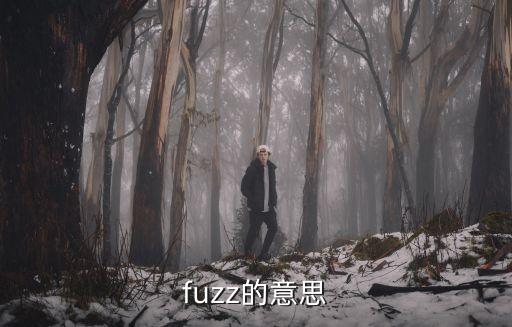 fuzz的意思