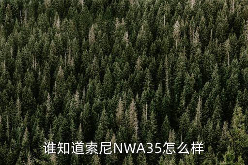 誰知道索尼NWA35怎么樣