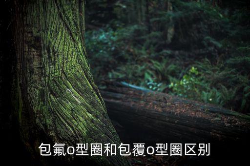 包氟o型圈和包覆o型圈區(qū)別