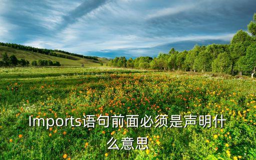 Imports語(yǔ)句前面必須是聲明什么意思