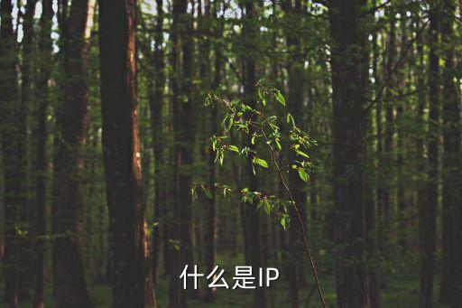 什么叫ip，什么是IP