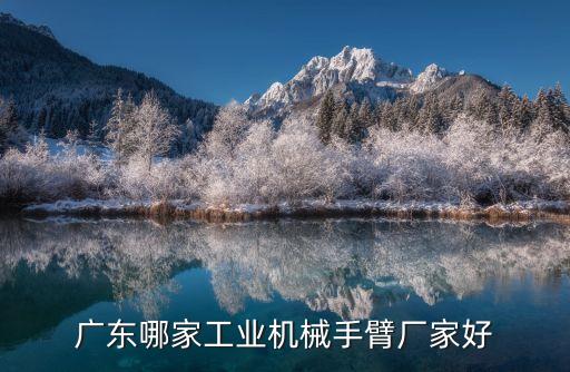 廣東哪家工業(yè)機械手臂廠家好