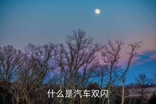 什么是汽車雙閃