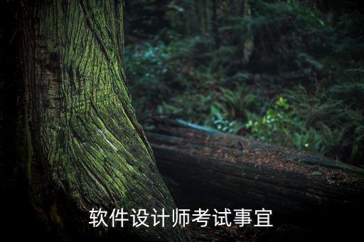 軟件設(shè)計(jì)師考試，軟件設(shè)計(jì)師考試事宜