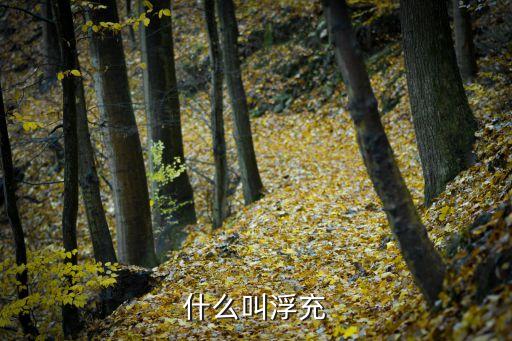 什么叫浮充