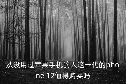 從沒用過蘋果手機(jī)的人這一代的phone 12值得購買嗎