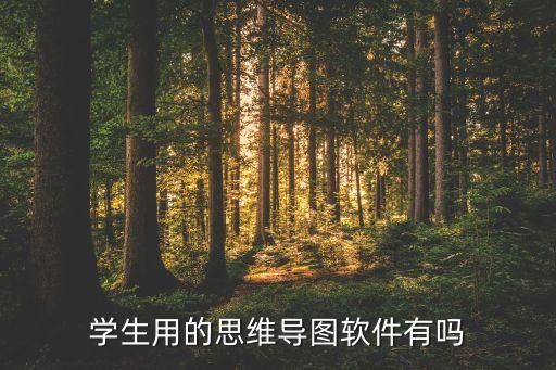 學(xué)生用的思維導(dǎo)圖軟件有嗎