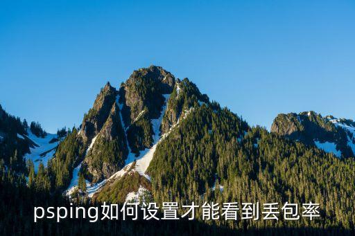 psping如何設(shè)置才能看到丟包率