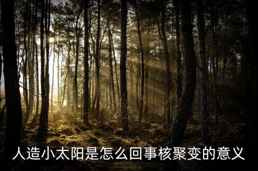 核聚變反應(yīng)堆，人造小太陽是怎么回事核聚變的意義