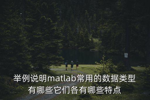 舉例說明matlab常用的數(shù)據(jù)類型有哪些它們各有哪些特點
