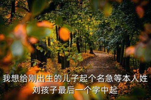 我想給剛出生的兒子起個(gè)名急等本人姓劉孩子最后一個(gè)字中起