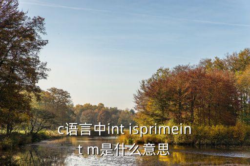 c語言中int isprimeint m是什么意思