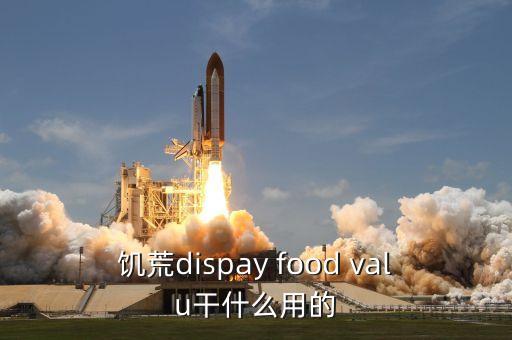 饑荒dispay food valu干什么用的