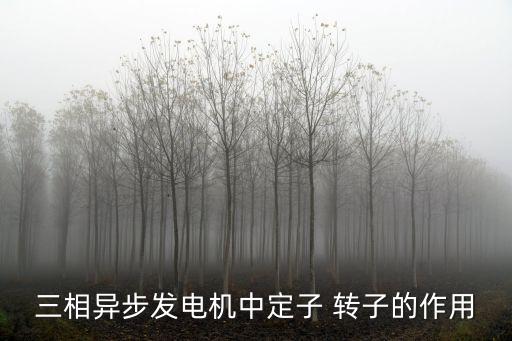 轉(zhuǎn)子的作用，小電動(dòng)機(jī)中的轉(zhuǎn)子主要由   三部分組成它的工作原理是由 產(chǎn)生