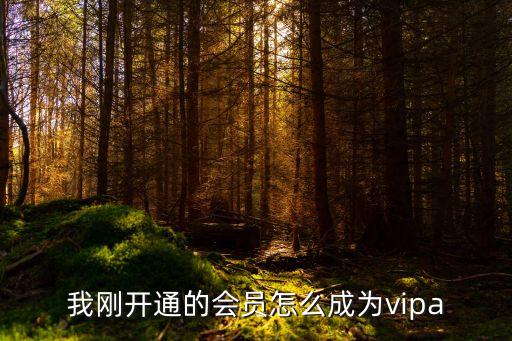 我剛開通的會(huì)員怎么成為vipa