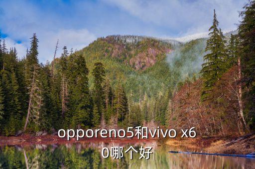 reno5，reno5不支持NFC嗎