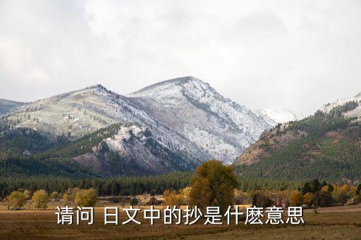 請(qǐng)問(wèn) 日文中的抄是什麼意思