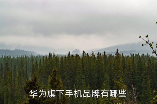 華為旗下手機(jī)品牌有哪些