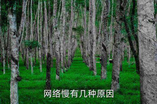 網(wǎng)絡(luò)慢有幾種原因