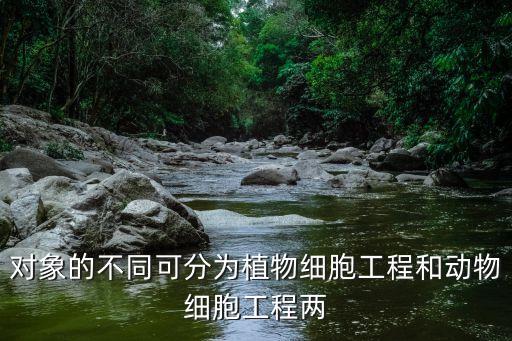 對象的不同可分為植物細胞工程和動物細胞工程兩