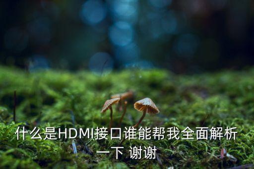 什么是HDMI接口誰能幫我全面解析一下 謝謝