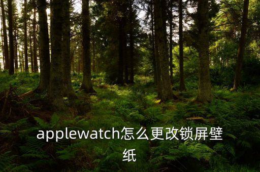applewatch怎么更改鎖屏壁紙