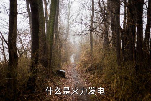 火力發(fā)電，火力發(fā)電過程