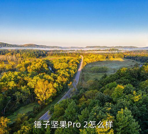 錘子堅(jiān)果Pro 2怎么樣