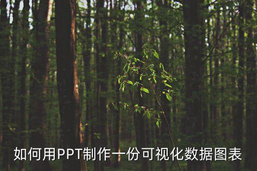 如何用PPT制作一份可視化數(shù)據(jù)圖表