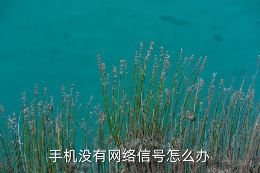 網(wǎng)絡(luò)信號(hào)，網(wǎng)絡(luò)連接手機(jī)信號(hào)不好怎么辦
