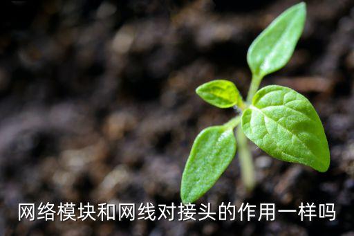 網(wǎng)絡(luò)模塊和網(wǎng)線對接頭的作用一樣嗎