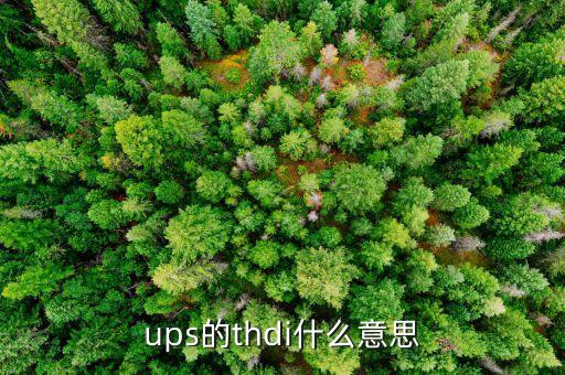 ups的thdi什么意思
