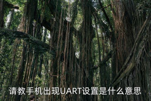 請教手機出現(xiàn)UART設置是什么意思